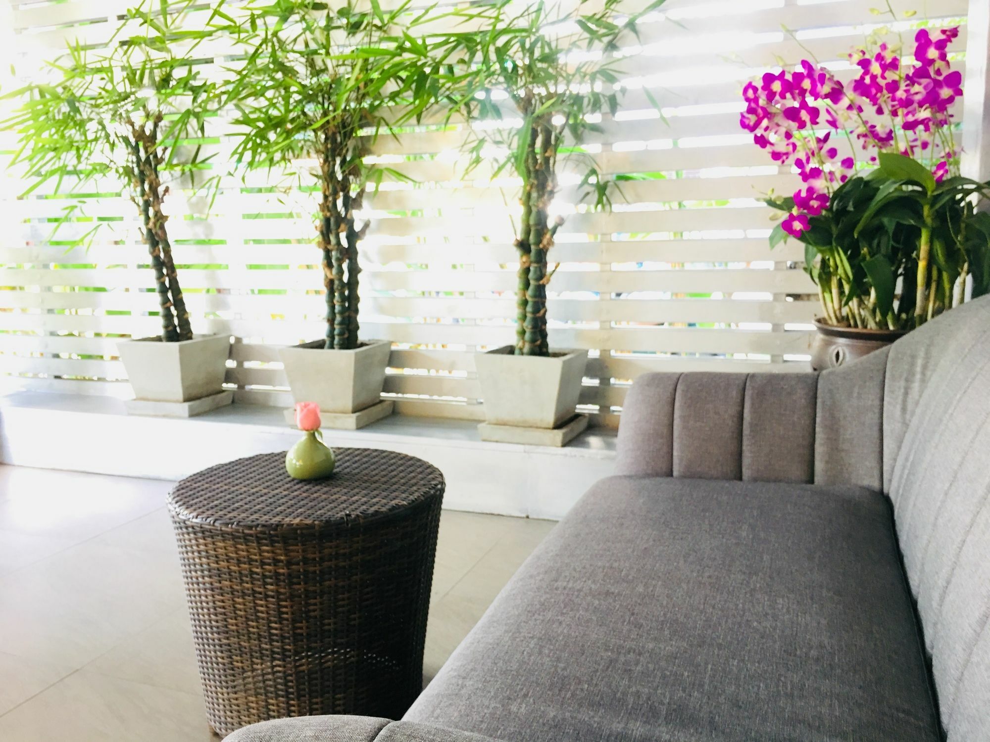 Kavil Guesthouse Chiang Mai Ngoại thất bức ảnh